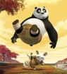 Kung Fu Panda wallpaper 5