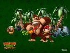 Donkey Kong Country Returns wallpaper 4