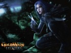 Guild Wars Factions wallpaper 2