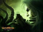 Guild Wars Factions wallpaper 7