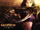 Guild Wars Factions wallpaper 8
