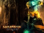 Guild Wars Factions wallpaper 9