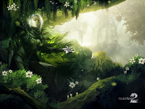 Guild Wars 2 wallpaper 18
