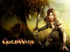 Guild Wars Prophecies wallpaper 9