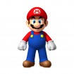 New Super Mario Bros. Wii wallpaper 33