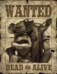 Oddworld : La Fureur de l'�tranger wallpaper 14