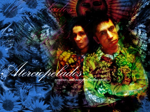 Aterciopelados wallpaper 1