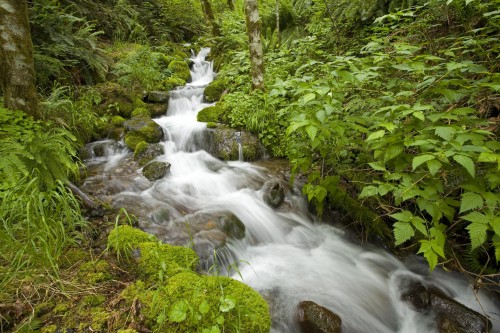 Cascades wallpaper 20