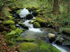 Cascades wallpaper 10