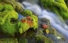 Cascades wallpaper 16