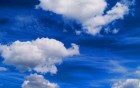Ciel wallpaper 4