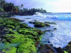 C�te wallpaper 12