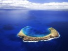 C�te wallpaper 13