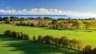 C�te wallpaper 20