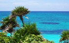 C�te wallpaper 22