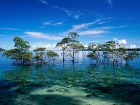C�te wallpaper 6