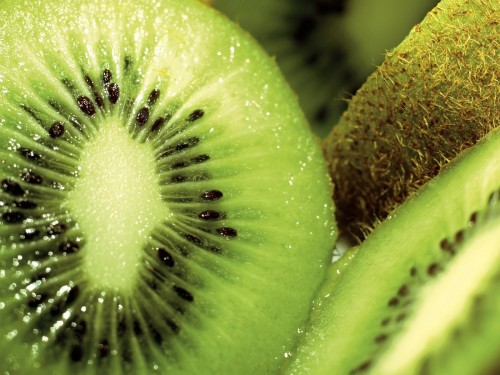 Gros plans wallpaper 120