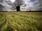 Moulins � vent wallpaper 1