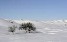 Neige wallpaper 16
