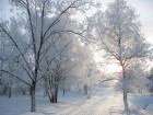Neige wallpaper 17