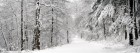 Neige wallpaper 23