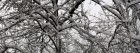 Neige wallpaper 24