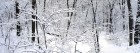 Neige wallpaper 26