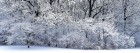 Neige wallpaper 27