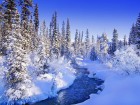 Neige wallpaper 5