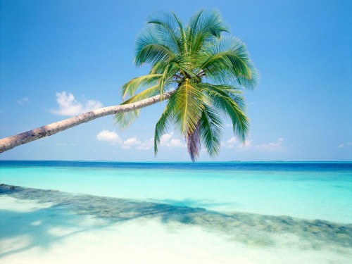 Plage wallpaper 10