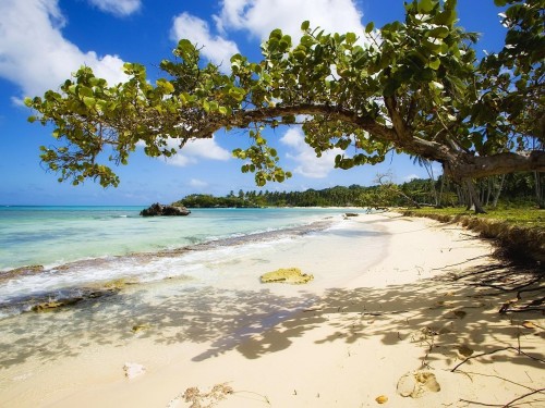 Plage wallpaper 17