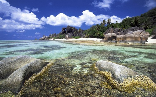 Plage wallpaper 5