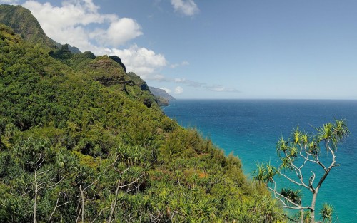 Plage wallpaper 6