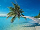 Plage wallpaper 8