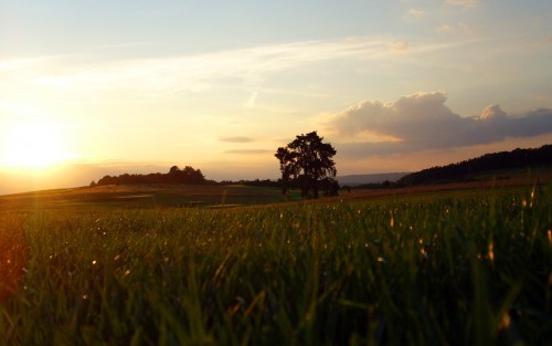 Plaines wallpaper 1