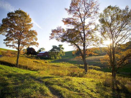 Plaines wallpaper 12
