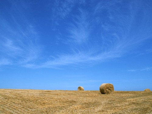 Plaines wallpaper 15