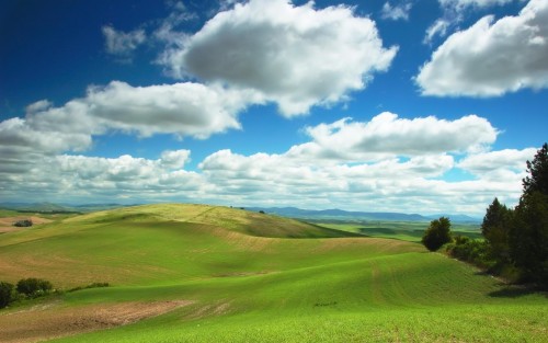 Plaines wallpaper 5