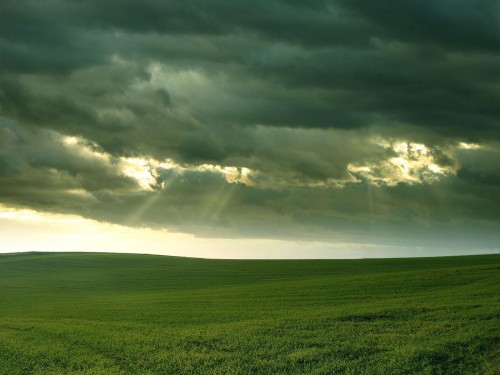 Plaines wallpaper 9