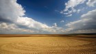 Plaines wallpaper 3