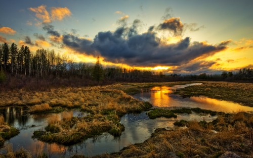 Rivi�res wallpaper 5