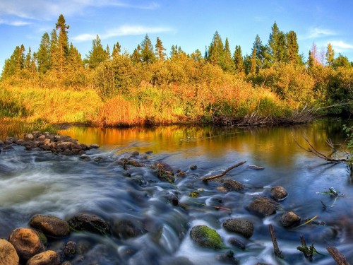 Rivi�res wallpaper 7