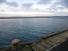 Douarnenez wallpaper 1