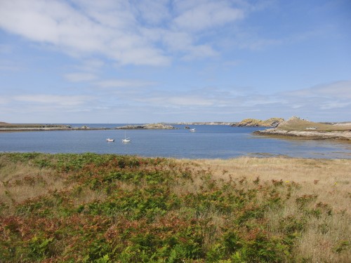 Ouessant wallpaper 14