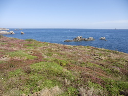 Ouessant wallpaper 29