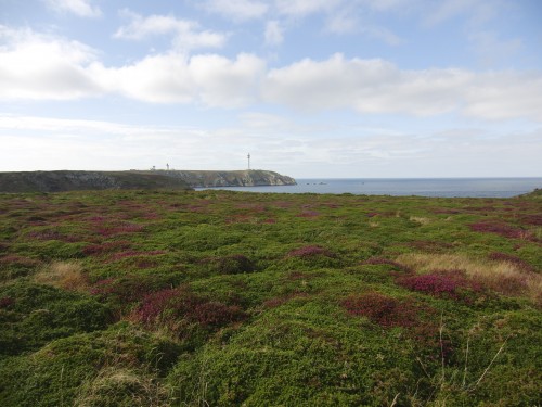 Ouessant wallpaper 33