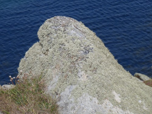 Ouessant wallpaper 4