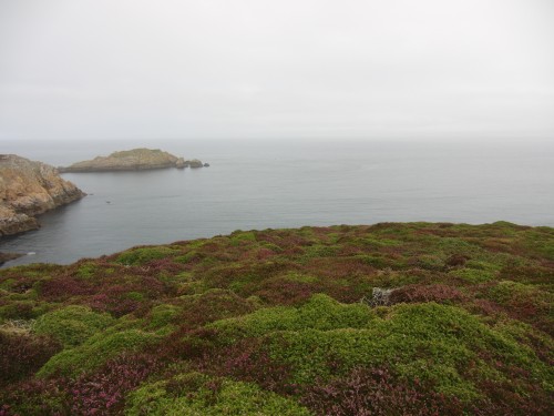 Ouessant wallpaper 57