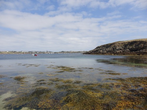 Ouessant wallpaper 7