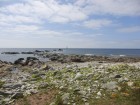 Ouessant wallpaper 20